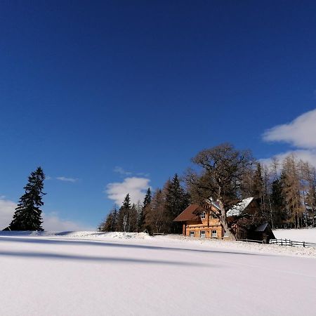 Ferienhaus Bichlhuette Pruggern Esterno foto