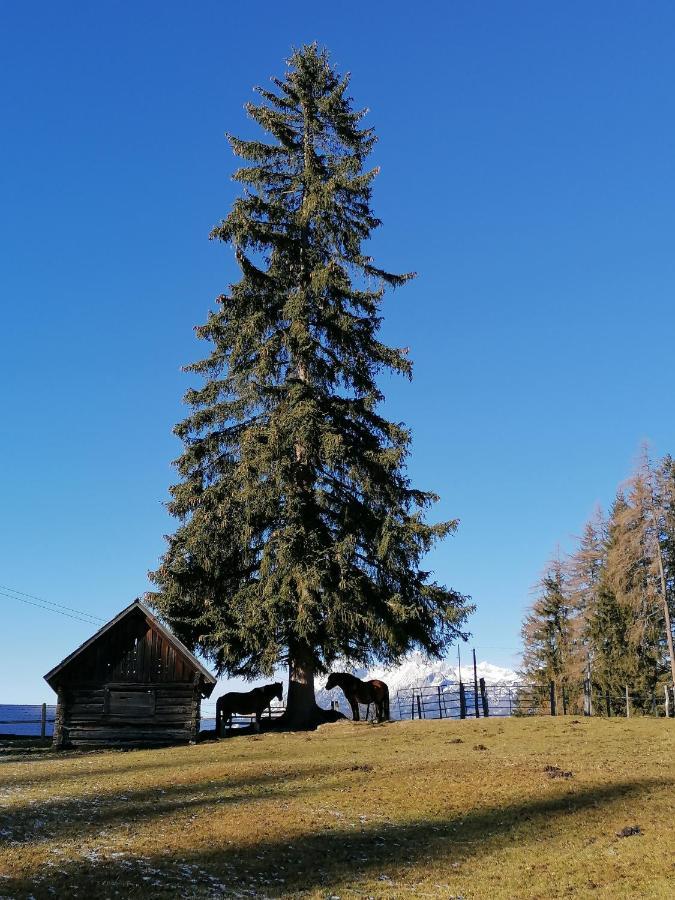 Ferienhaus Bichlhuette Pruggern Esterno foto