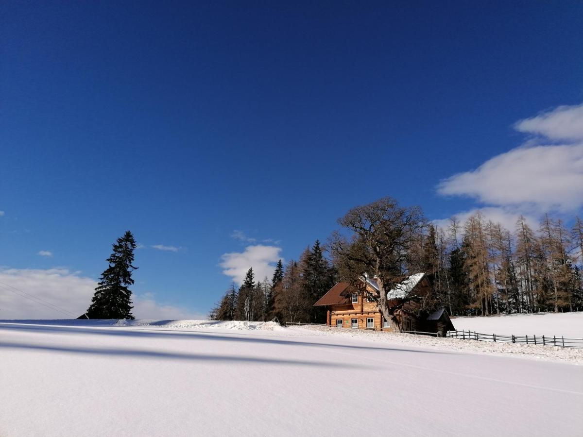 Ferienhaus Bichlhuette Pruggern Esterno foto