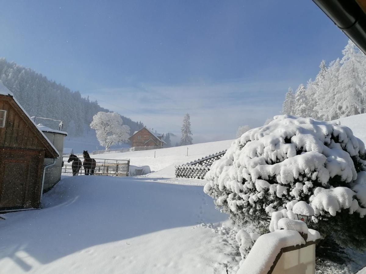 Ferienhaus Bichlhuette Pruggern Esterno foto