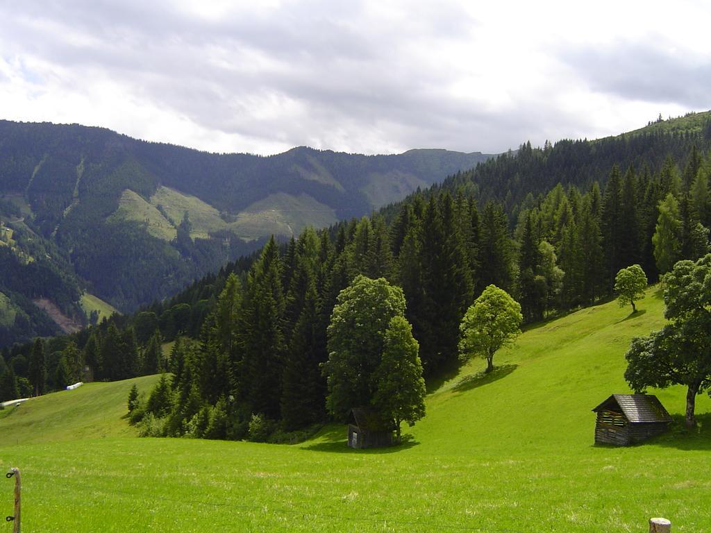 Ferienhaus Bichlhuette Pruggern Camera foto