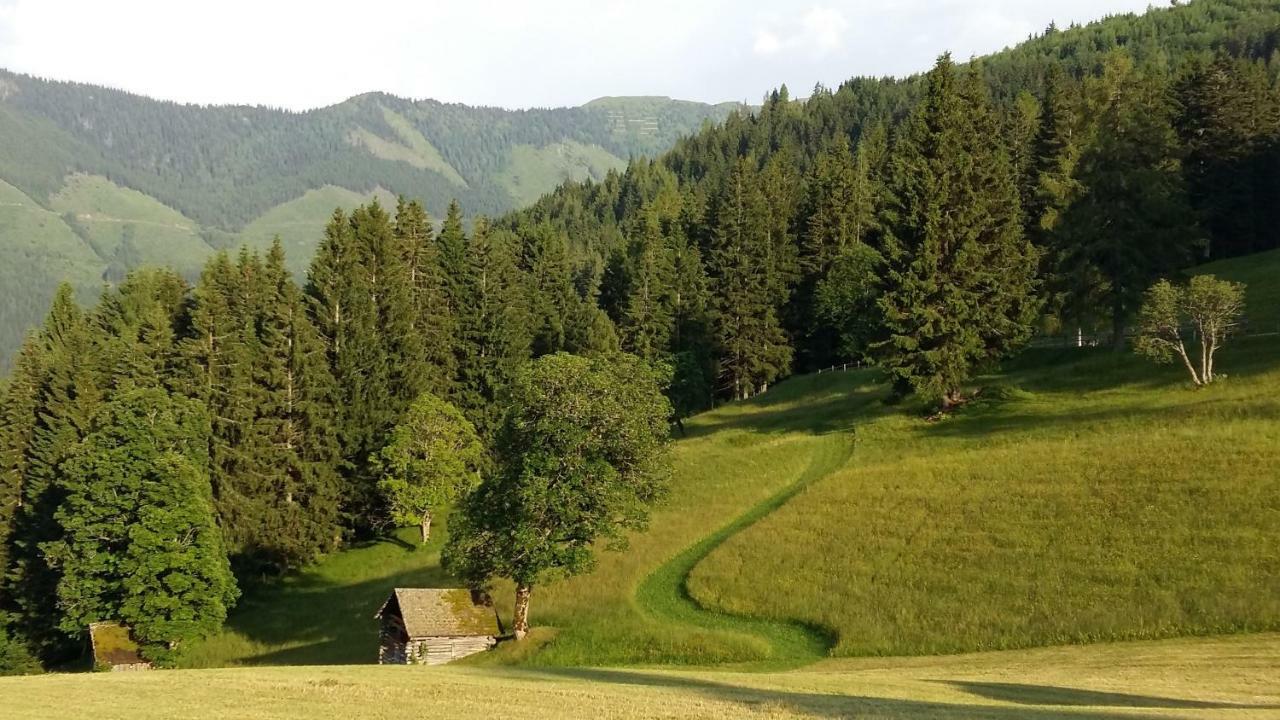 Ferienhaus Bichlhuette Pruggern Esterno foto