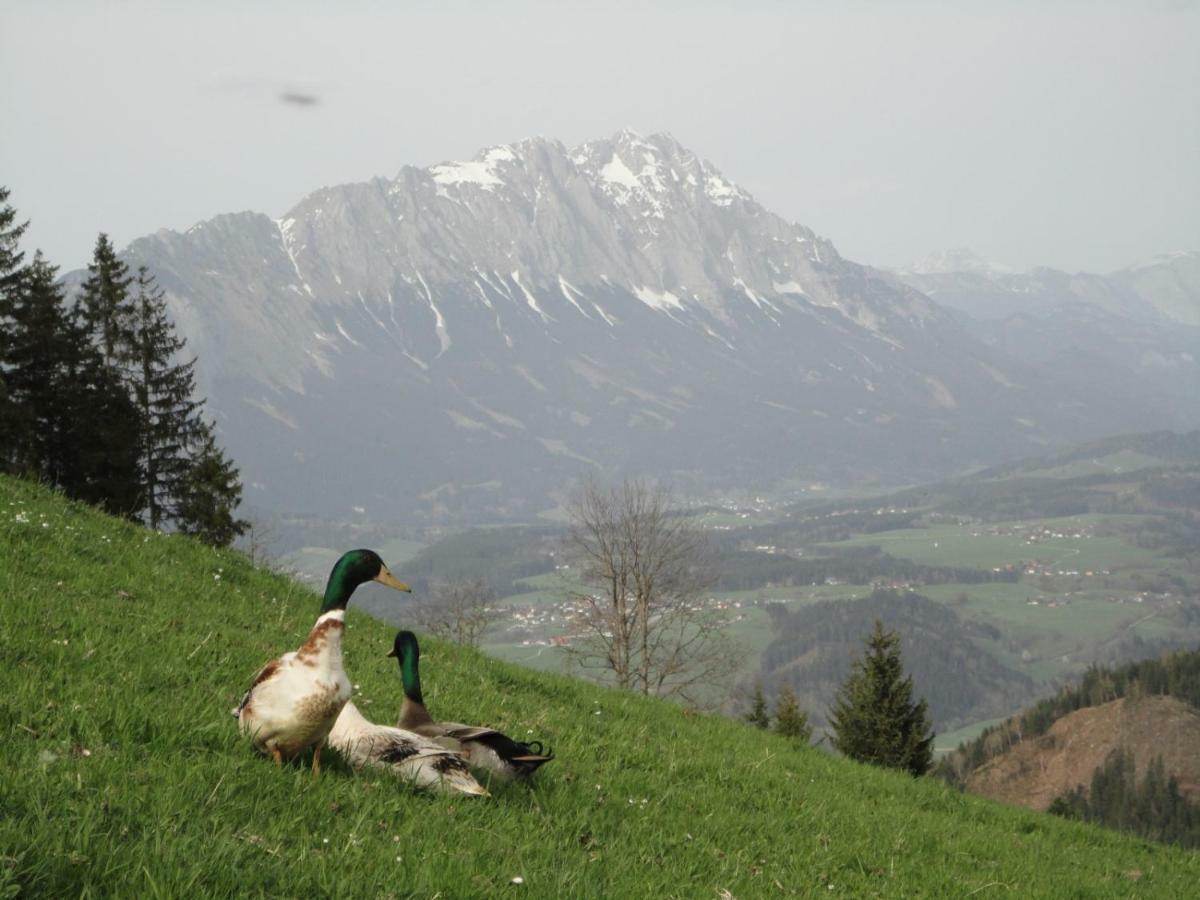 Ferienhaus Bichlhuette Pruggern Esterno foto